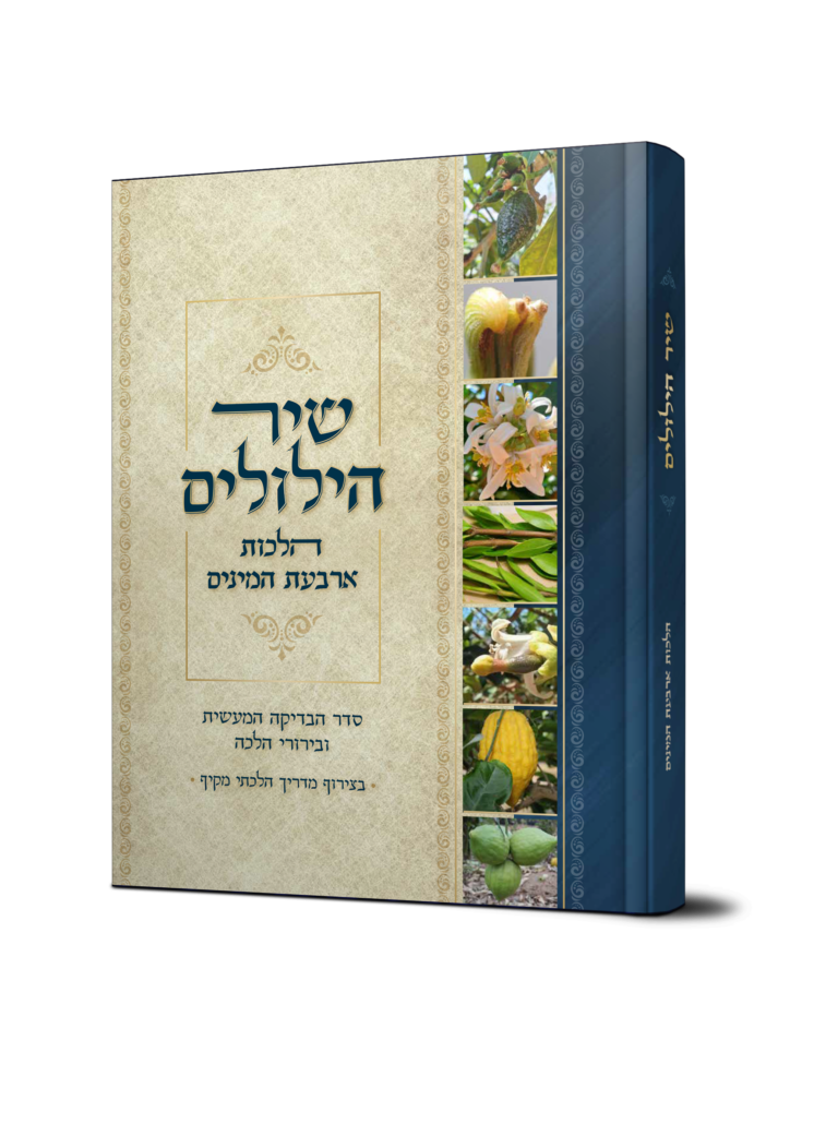 שיר הילולים - הלכות ארבעת המינים